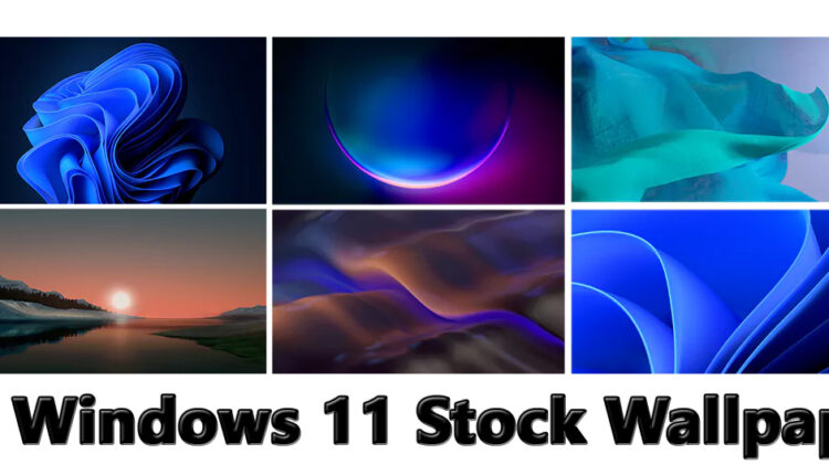 Download Windows 11 4K stock wallpaper for Android