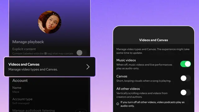 spotify video