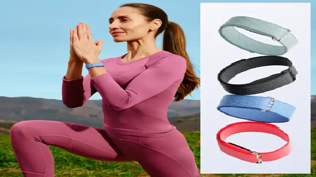fitbit air